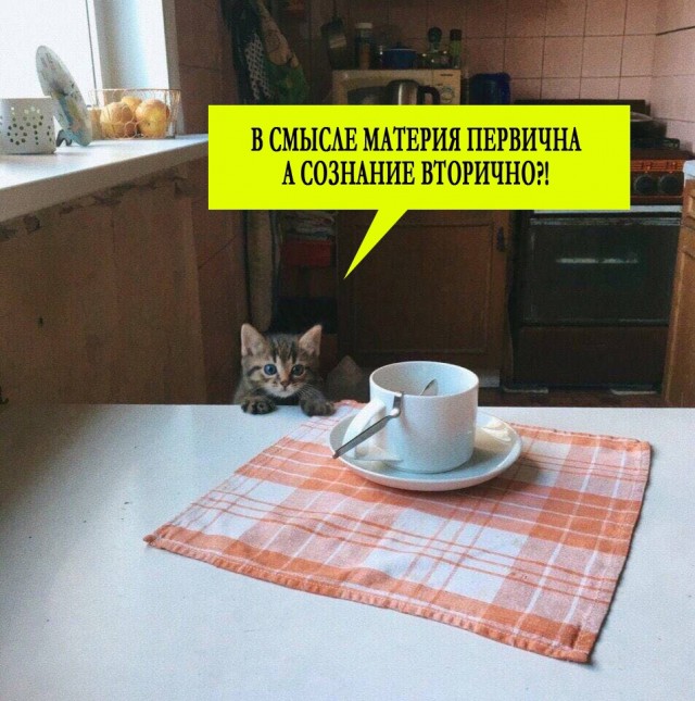 Чуток картинок 16.12.21