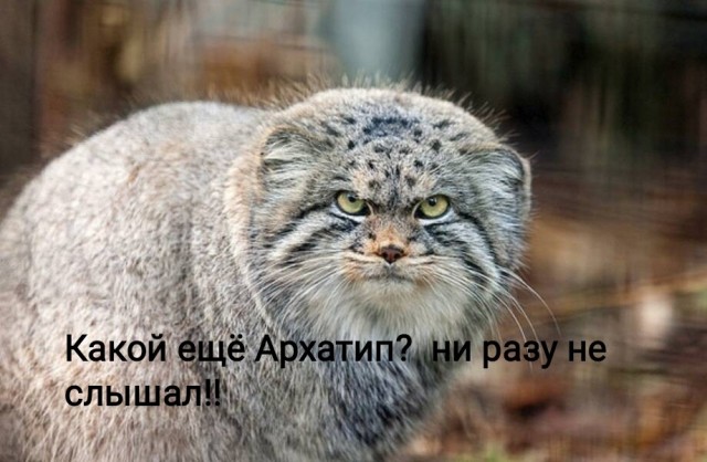 Так себе картинки 05.04.22