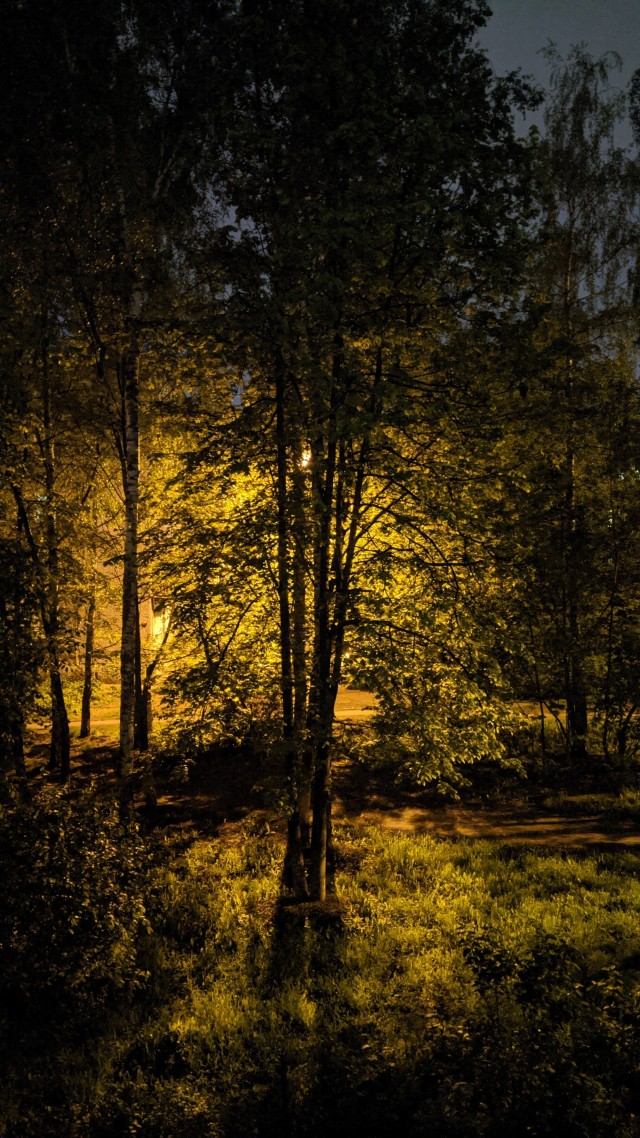 Фотки с телефона.