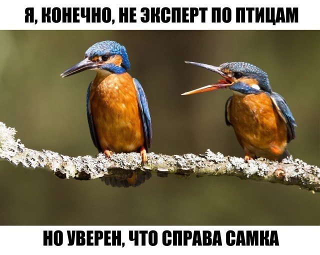 Так себе картинки 14.04.22