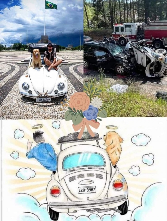 Путешествие по Америке со своей собакой на старом VW, закончилось трагедией в результате несчастного случая