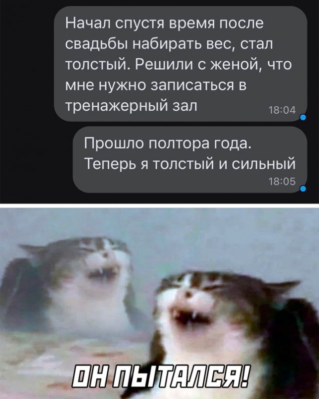 Картинки и мемы для настроения - 29