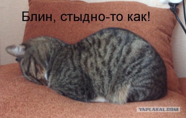 Красавицы "Пятого Элемента"