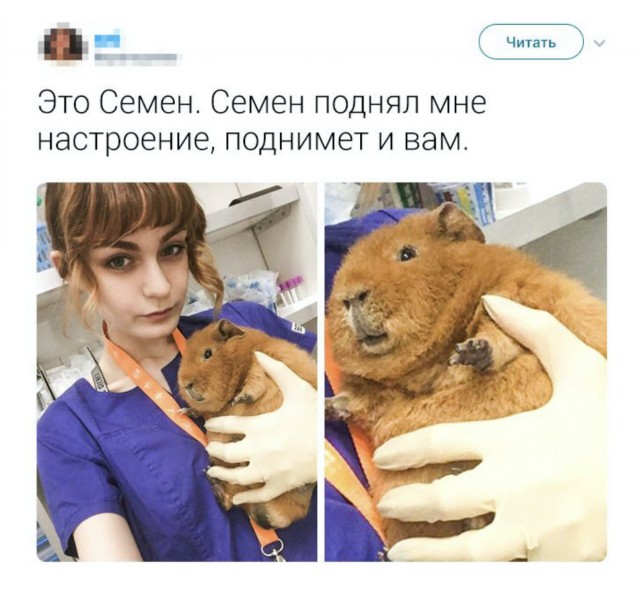 Картинки и мемы для настроения - 009