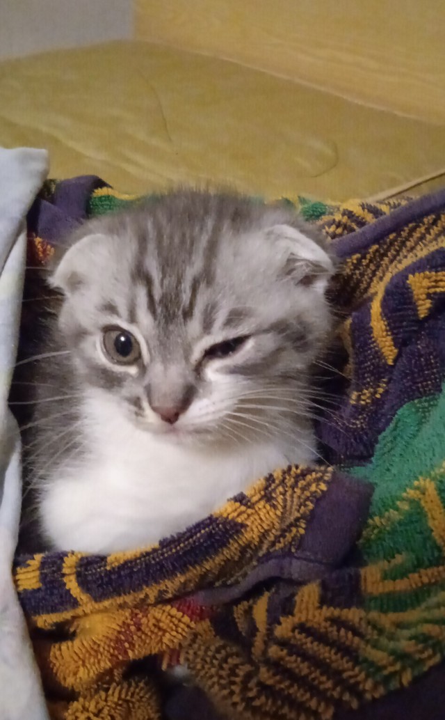 Операция на сердце