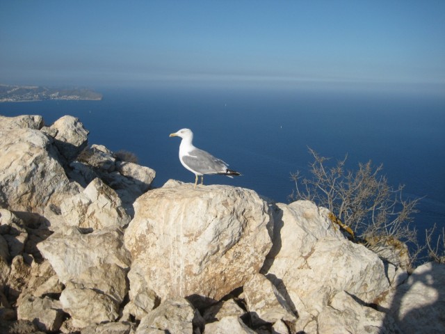 Испания - чудесная страна!