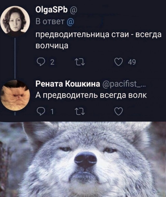Так себе картинки 25.11.22