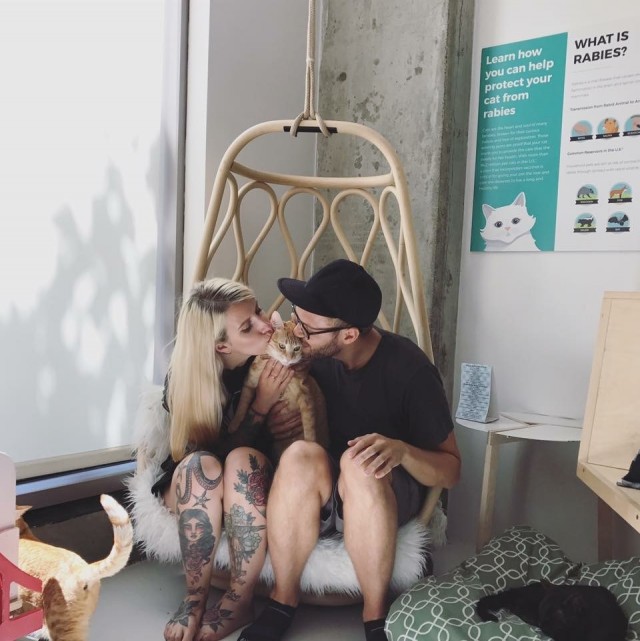 Она спасает котят