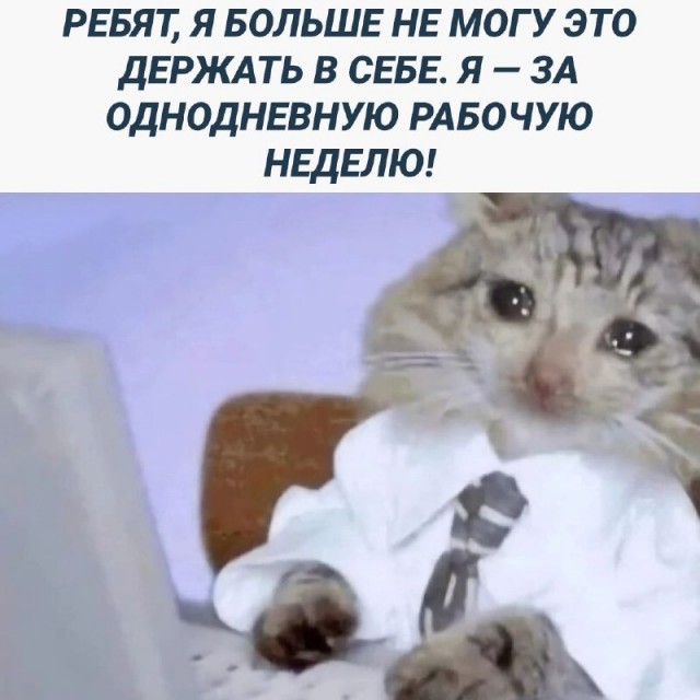 Немного картинок для настроения - 129