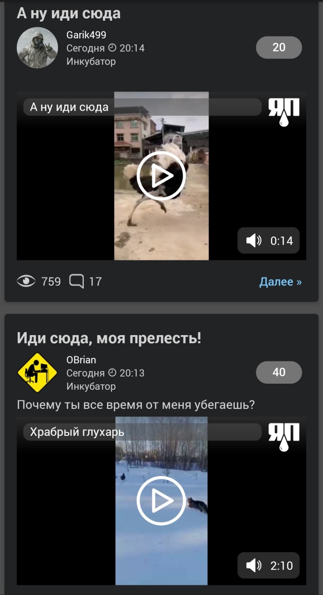 Иди сюда, моя прелесть!