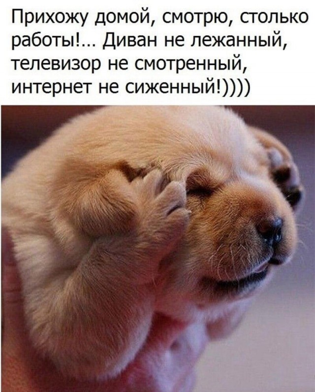 Немного картинок для настроения - 139
