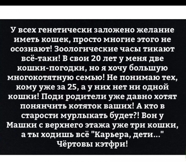 Семья катится под откос...