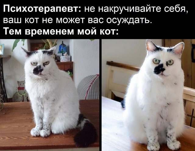 Так себе картинки 24.04.23