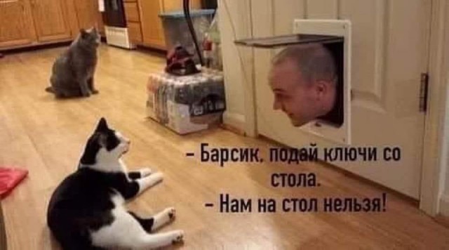 Всего понемногу. От 31.07.23