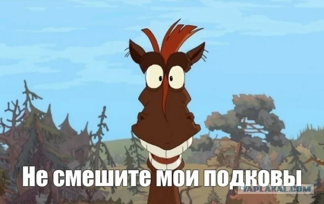 Когда заказчик стоит за спиной