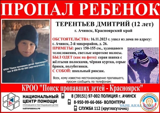 В Ачинске пятиклассник зарубил топором школьника, потому что тот оскорблял его мать.