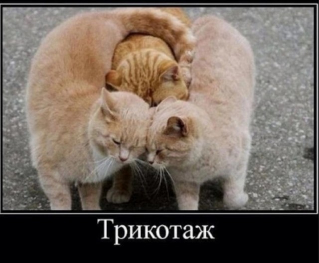 Маленькая пятница