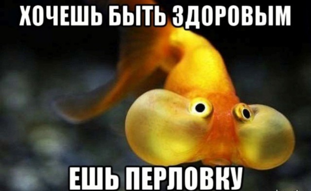 Порыбачили