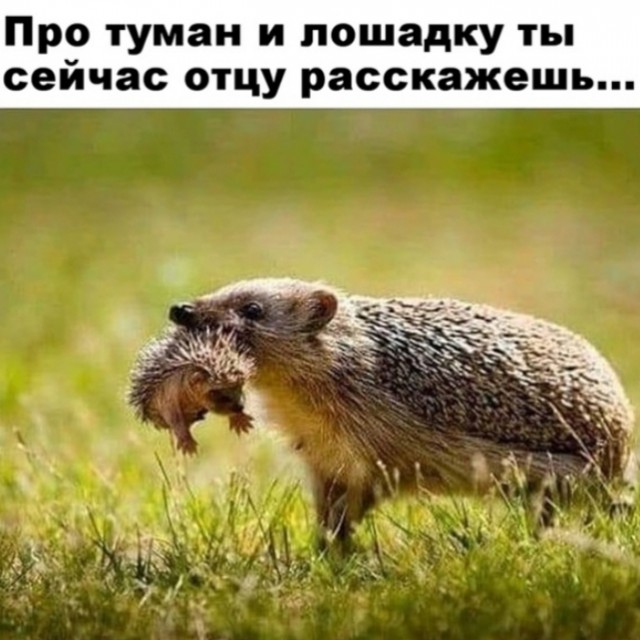 Так себе картинки 25.10.24