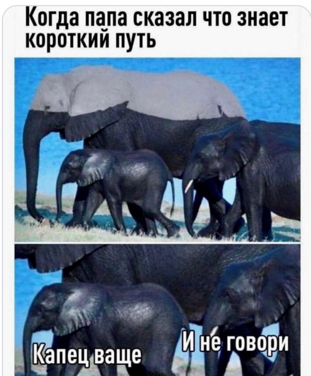 Завалялось тут случайно немного забавных картинок