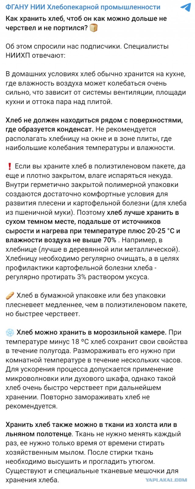 Как вы храните хлеб?