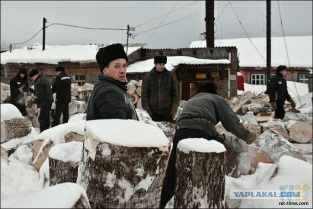Вырубка леса вдоль ЛЭП