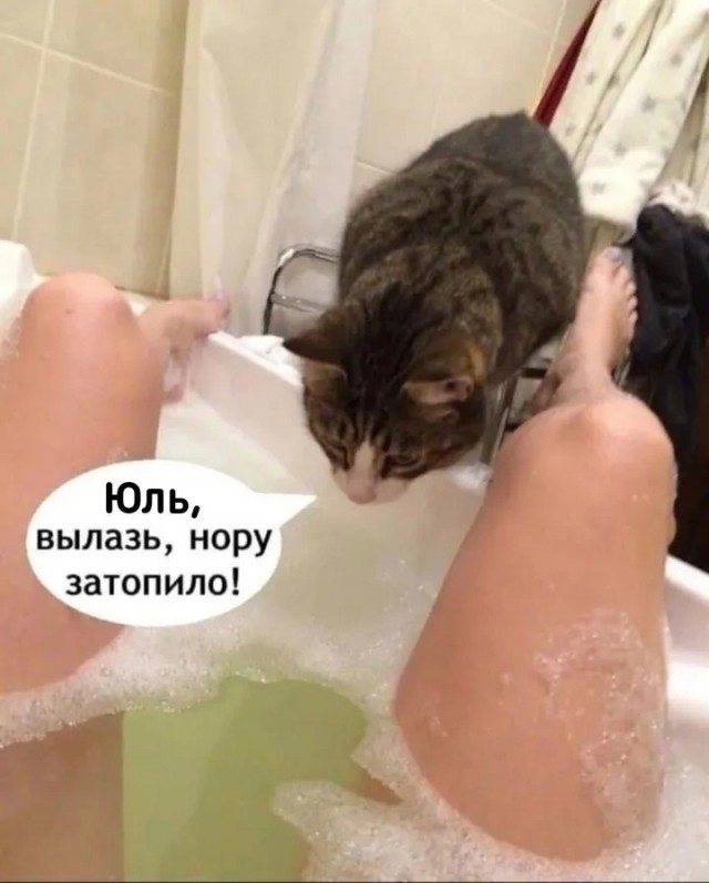 Так себе картинки 11.02.25