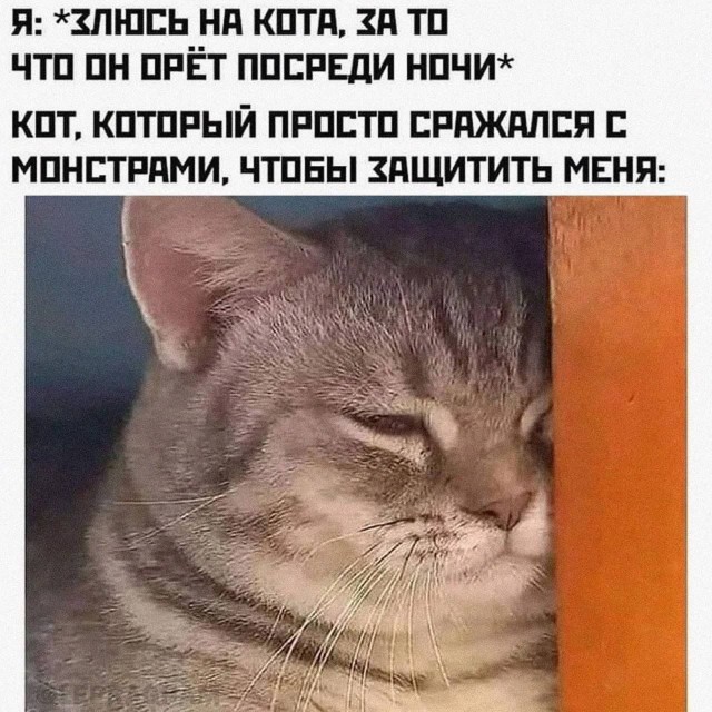 Без проблем