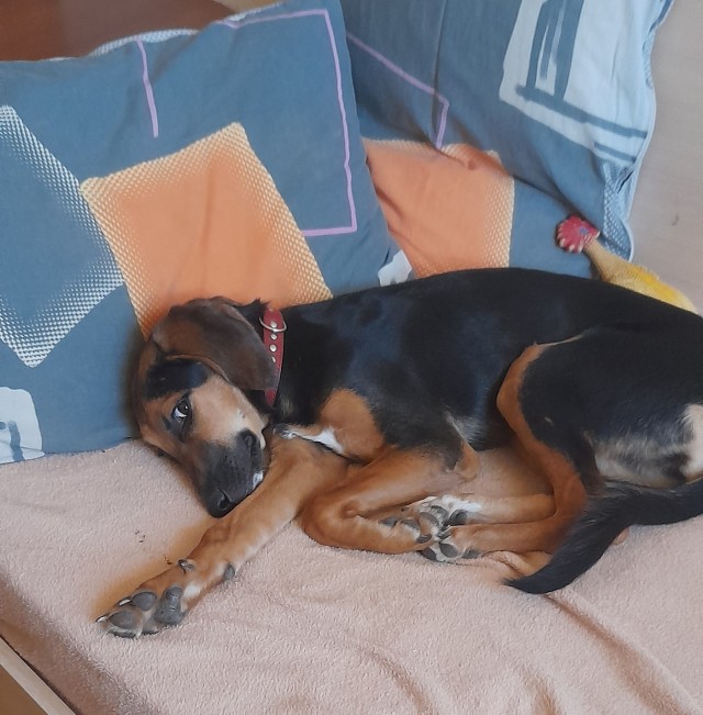 Оренбург. Первый клещ.