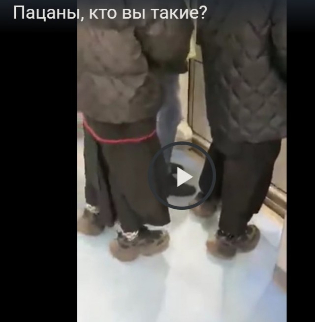 Они среди нас