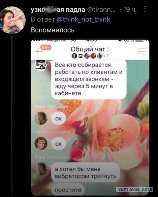 Падонги! Подчистил телефон. 15 есчё