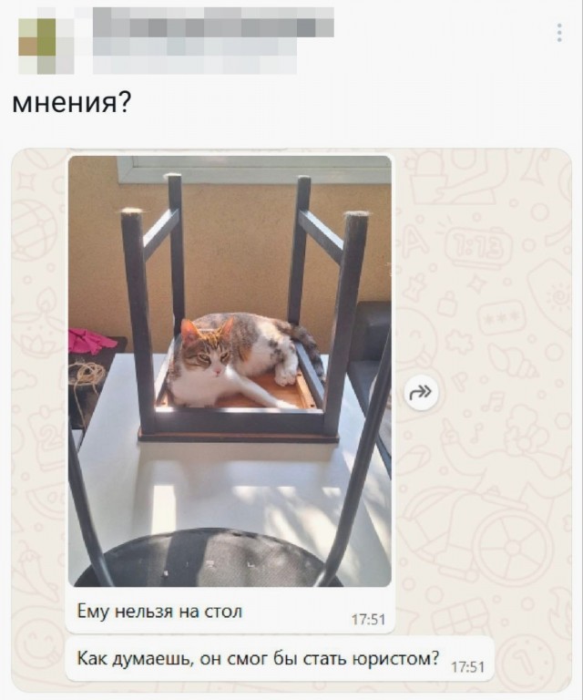 Так себе картинки 02.07.25