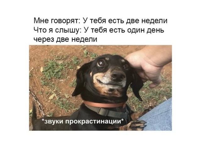 Картинки для деградации 10 (разной степени свежести)