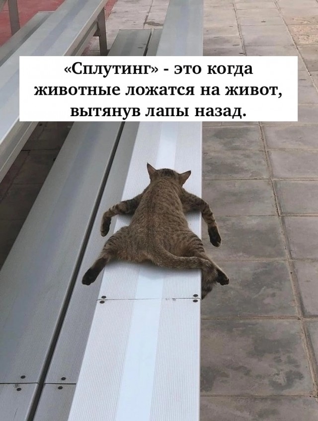 Так себе картинки 16.08.25