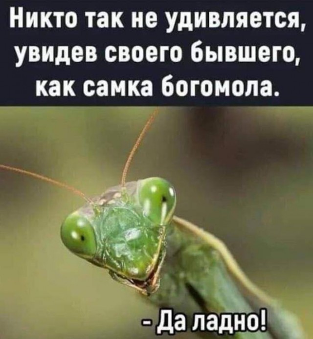 Так себе картинки 18.08.25