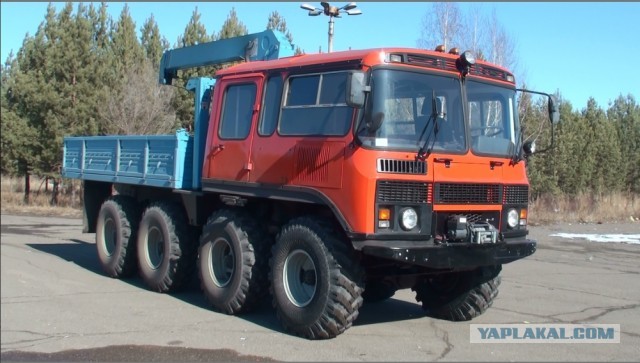 А у нас будет новый "пазик"
