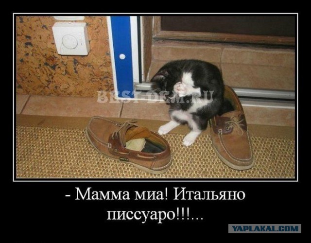Всегда