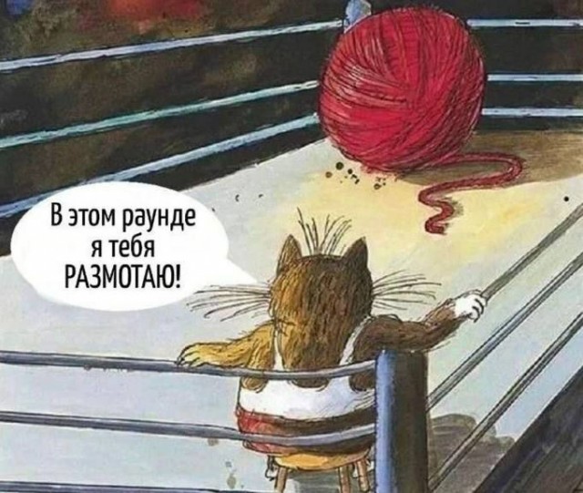 Так себе картинки 06.11.25