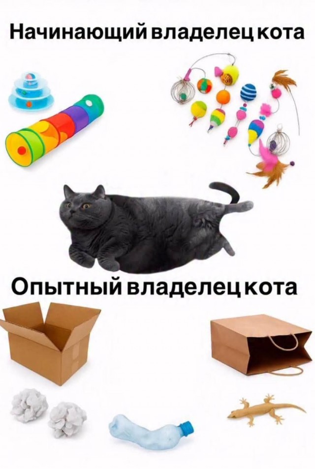 Картинки разные с надписями и без
