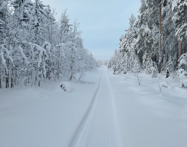 Зимняя дорога