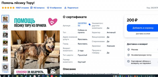 Двое мальчишек 8 и 9 лет были госпитализированы после нападения бродячих собак в Оренбургской области