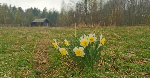 Начало весны в деревне