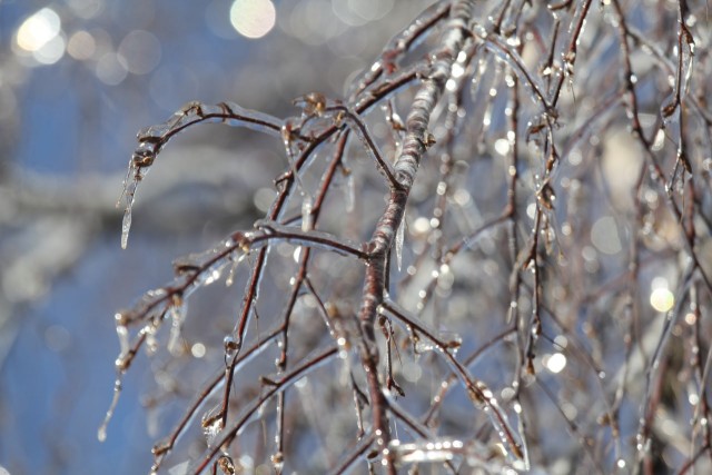 Ледяной дождь 03.05.24 (Лен.обл)