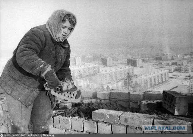 Очередное подхалимство от меня