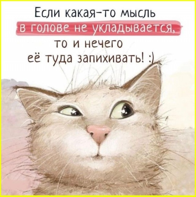 Картиночки, баянчики 01 июля