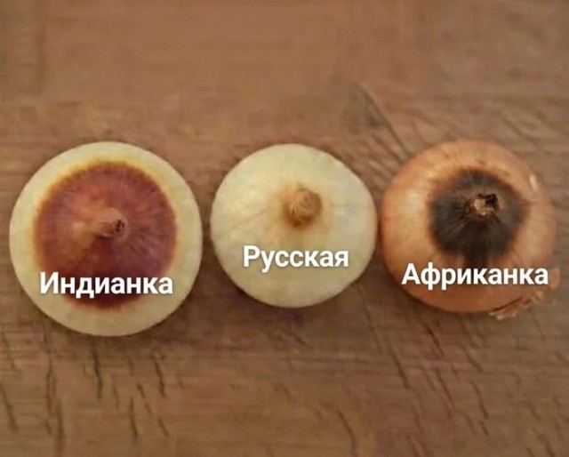 Веселые картинки в маленькую пятницу (05.08)