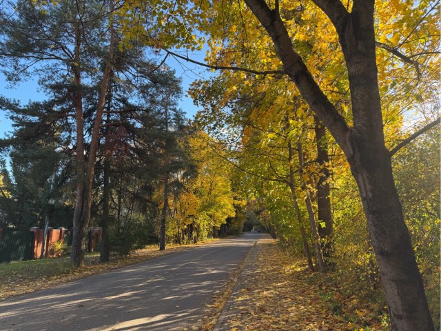 October