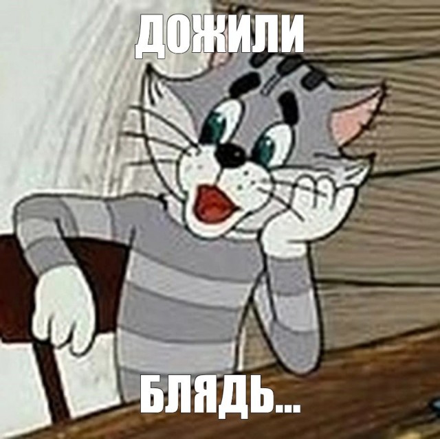 *БАЯН*Корабельный кот прибыл на вахту