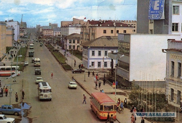 1981 год в цвете. СССР. Незабываемое