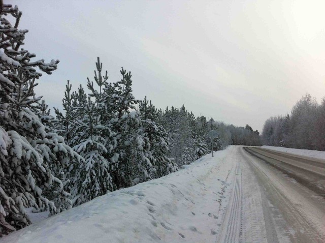 Трасса Нижневартовск-Сургут в -40 градусов